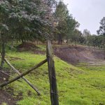 WhatsApp Image 2024-07-02 at 4.57.02 PM (1)