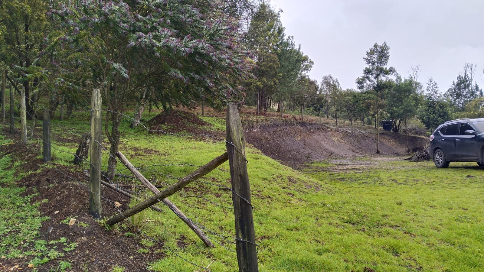 WhatsApp Image 2024-07-02 at 4.57.02 PM (1)