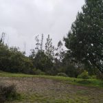 WhatsApp Image 2024-07-02 at 4.57.02 PM