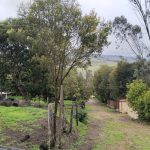 WhatsApp Image 2024-07-02 at 4.57.02 PM (2)