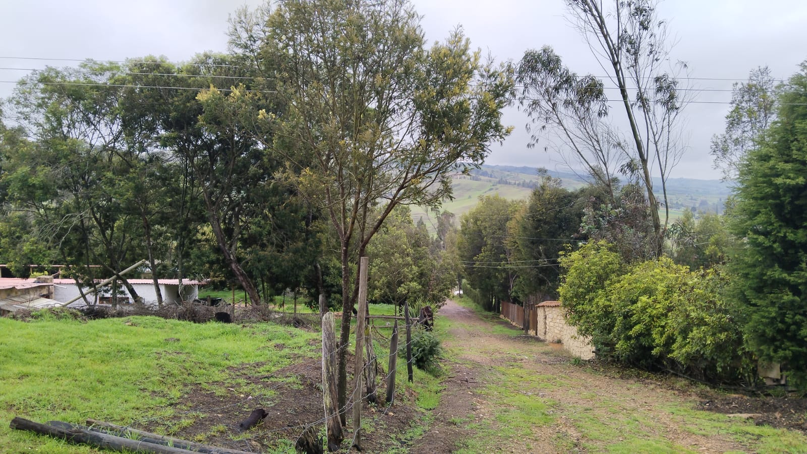 WhatsApp Image 2024-07-02 at 4.57.02 PM (2)