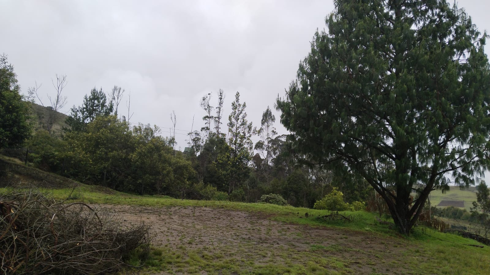 WhatsApp Image 2024-07-02 at 4.57.02 PM