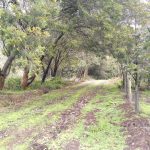 WhatsApp Image 2024-07-02 at 4.57.03 PM (1)