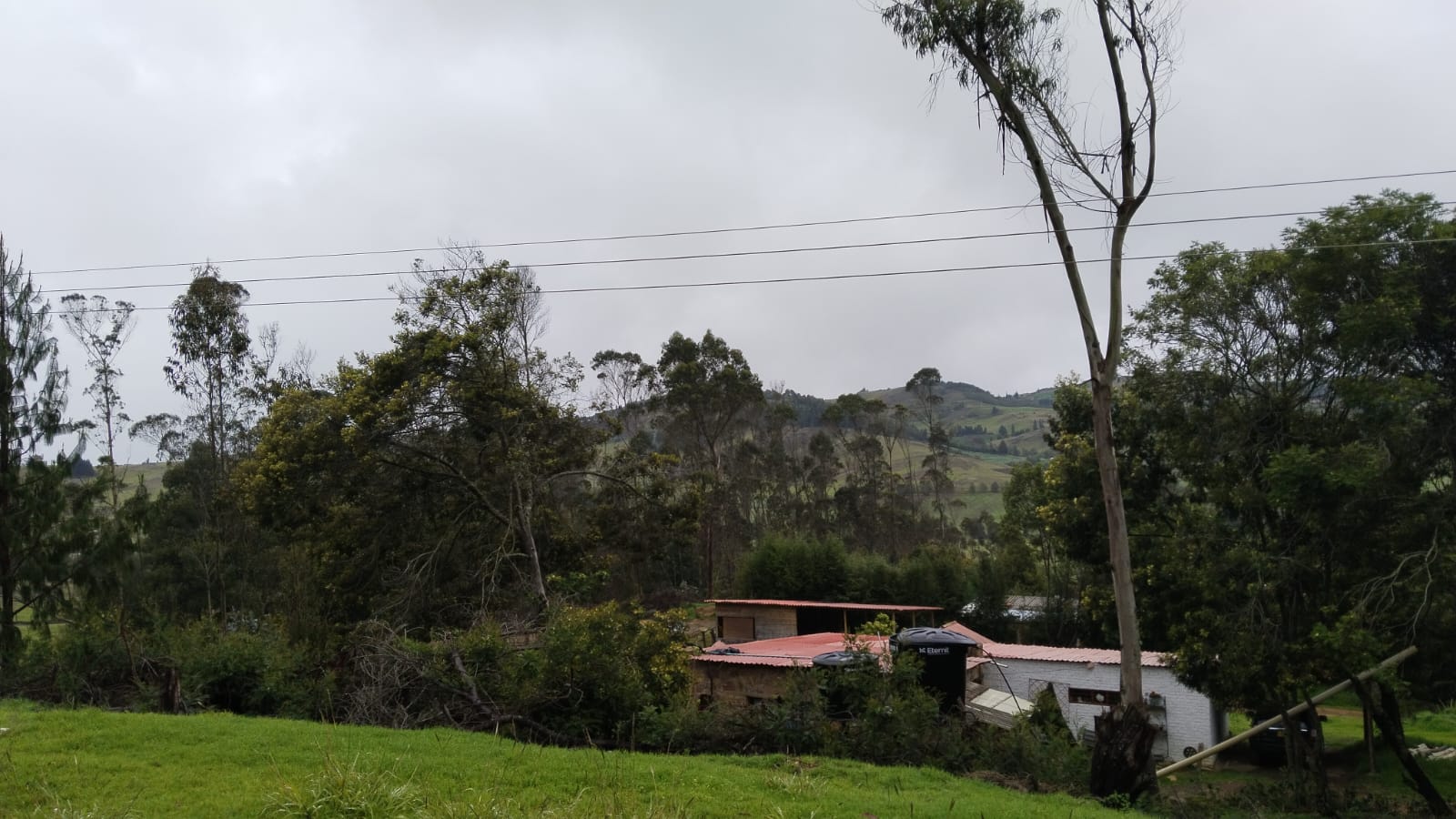 WhatsApp Image 2024-07-02 at 4.57.03 PM (2)