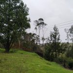 WhatsApp Image 2024-07-02 at 4.57.03 PM (3)