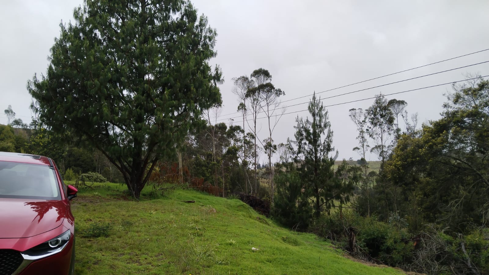 WhatsApp Image 2024-07-02 at 4.57.03 PM (3)