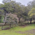 WhatsApp Image 2024-07-02 at 4.57.03 PM (4)