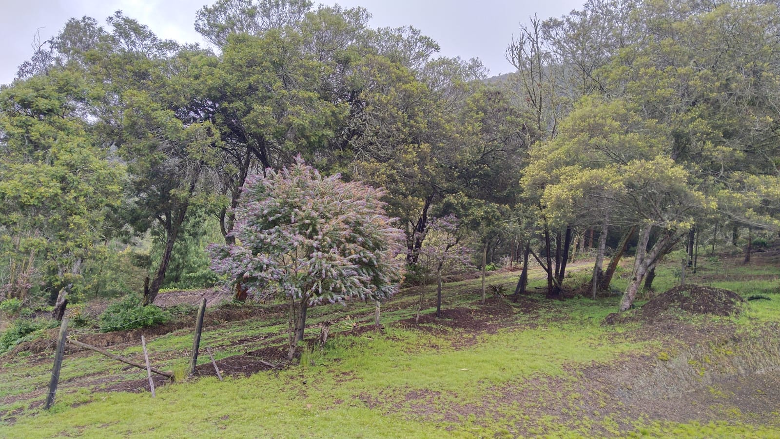 EXCELENTE LOTE EN VENTA