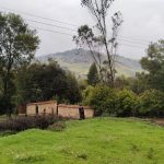 WhatsApp Image 2024-07-02 at 4.57.03 PM (5)