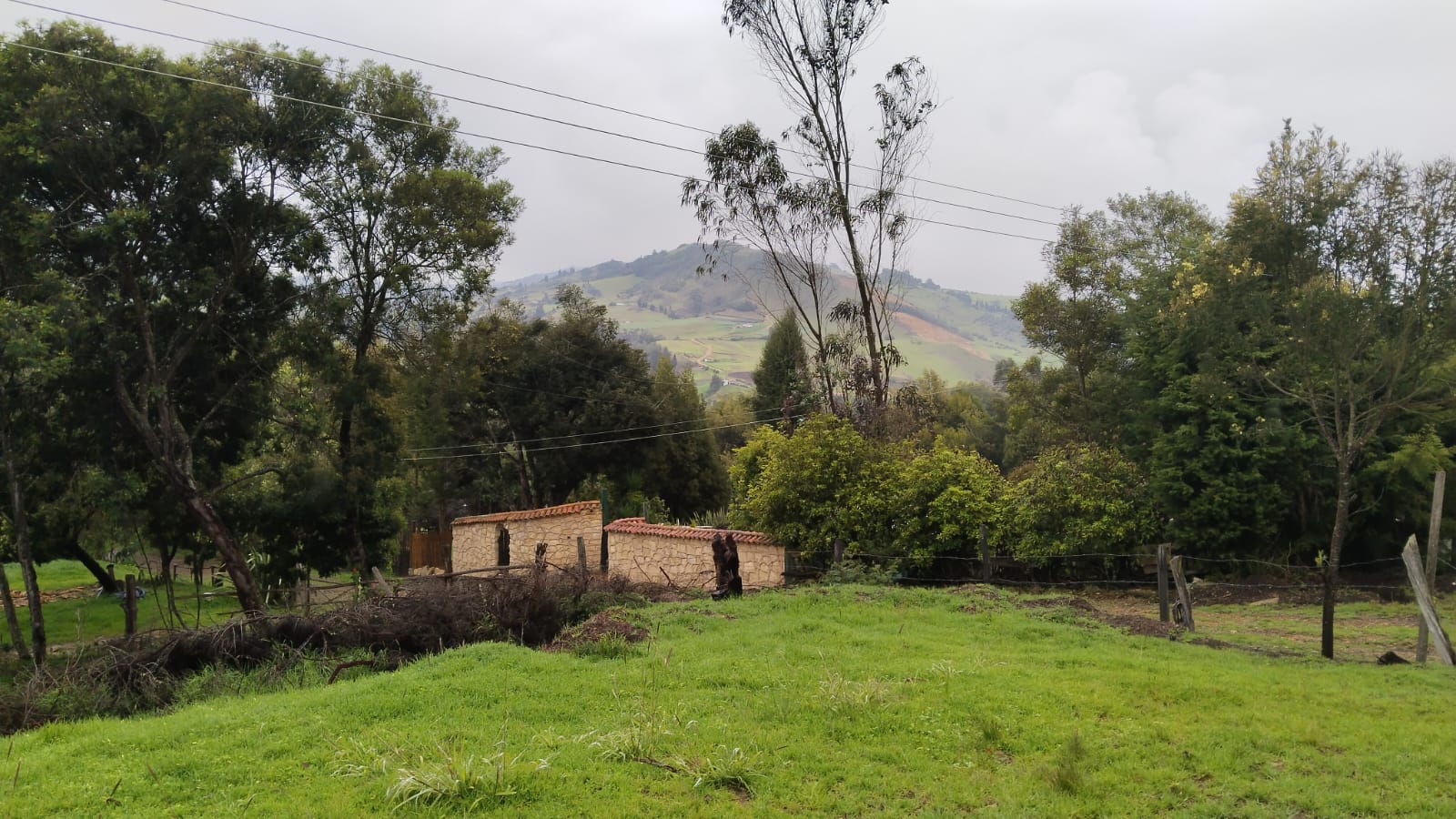 WhatsApp Image 2024-07-02 at 4.57.03 PM (5)