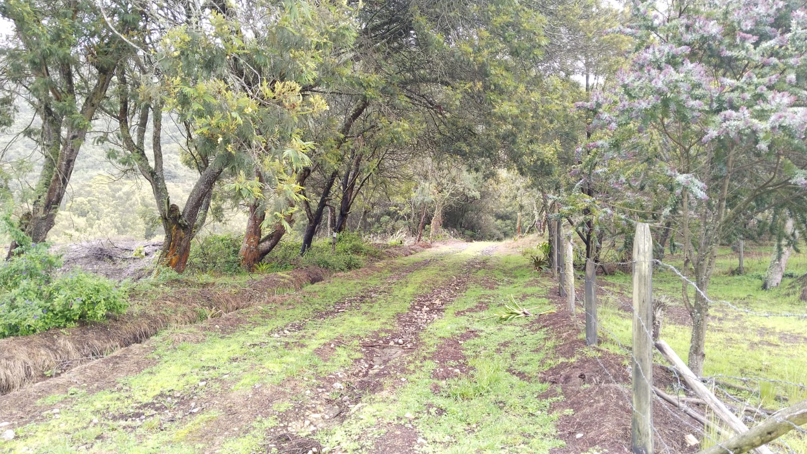 WhatsApp Image 2024-07-02 at 4.57.03 PM