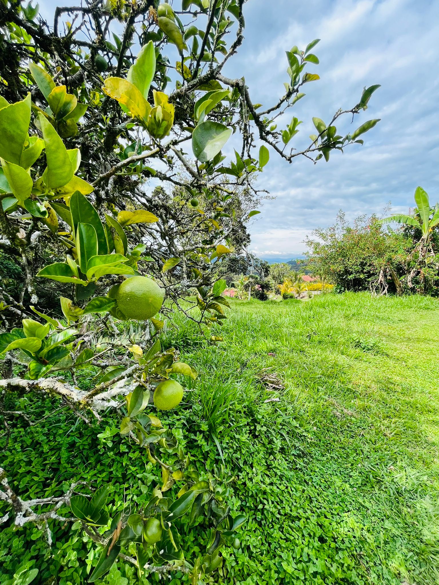 WhatsApp Image 2024-07-27 at 12.28.43 PM (1)