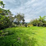 WhatsApp Image 2024-07-27 at 12.28.43 PM