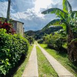 WhatsApp Image 2024-07-27 at 12.28.43 PM (2)