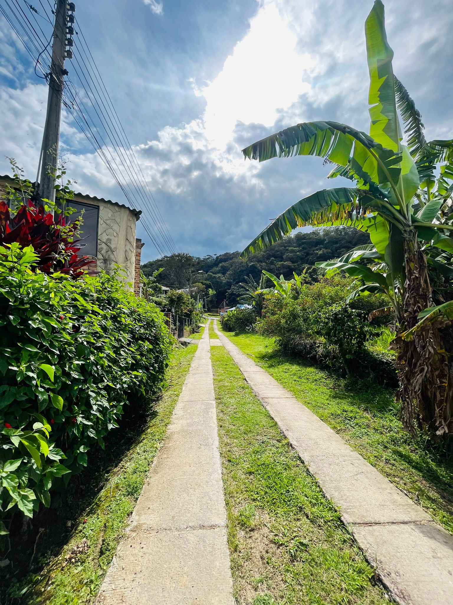 WhatsApp Image 2024-07-27 at 12.28.43 PM (2)