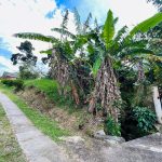 WhatsApp Image 2024-07-27 at 12.28.43 PM (3)