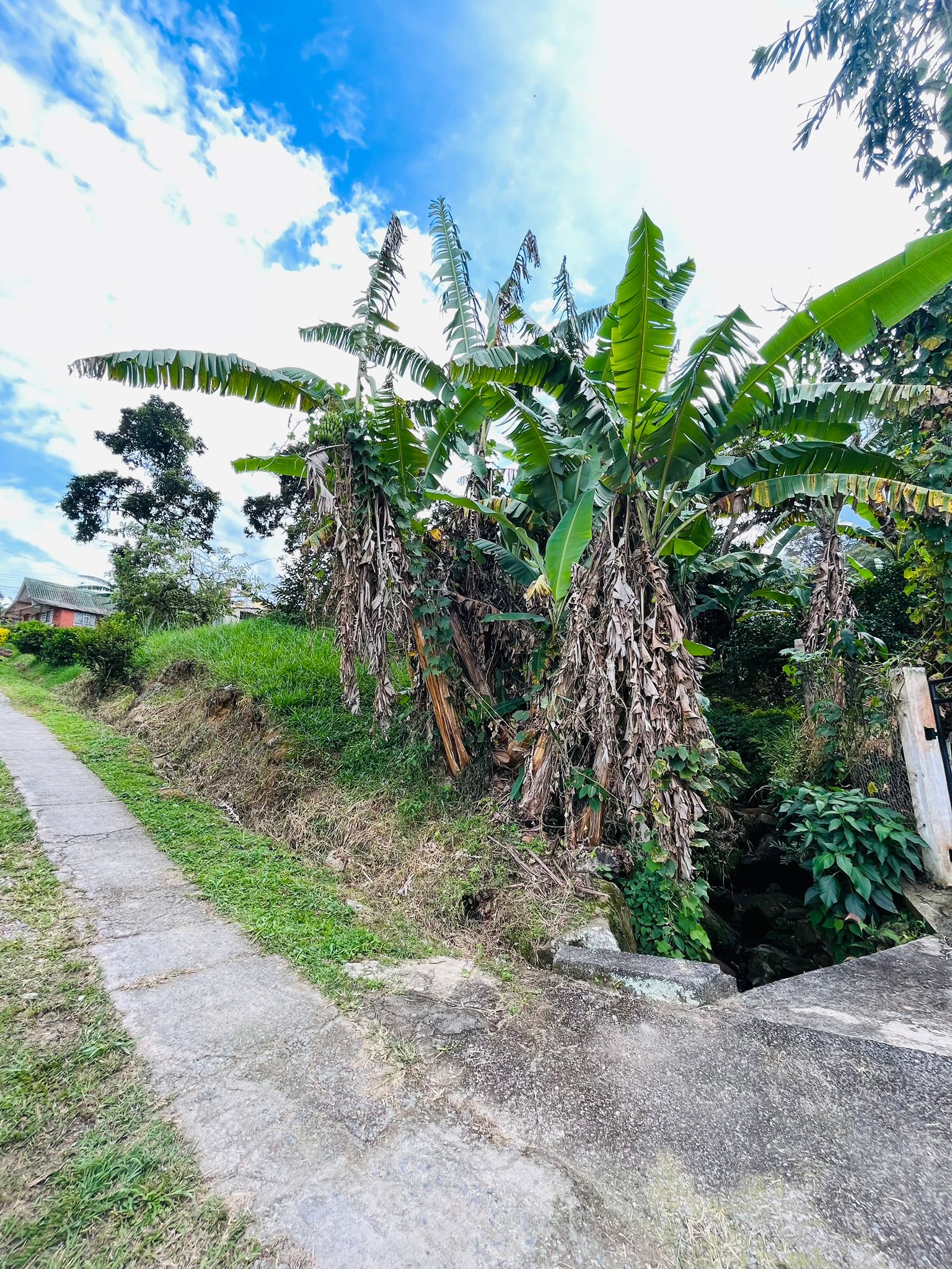 WhatsApp Image 2024-07-27 at 12.28.43 PM (3)