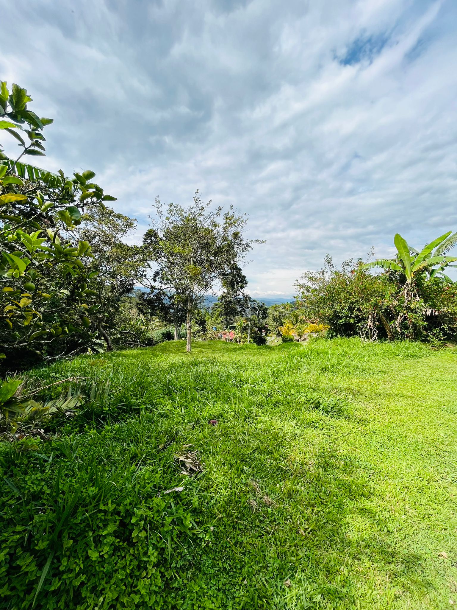 WhatsApp Image 2024-07-27 at 12.28.43 PM