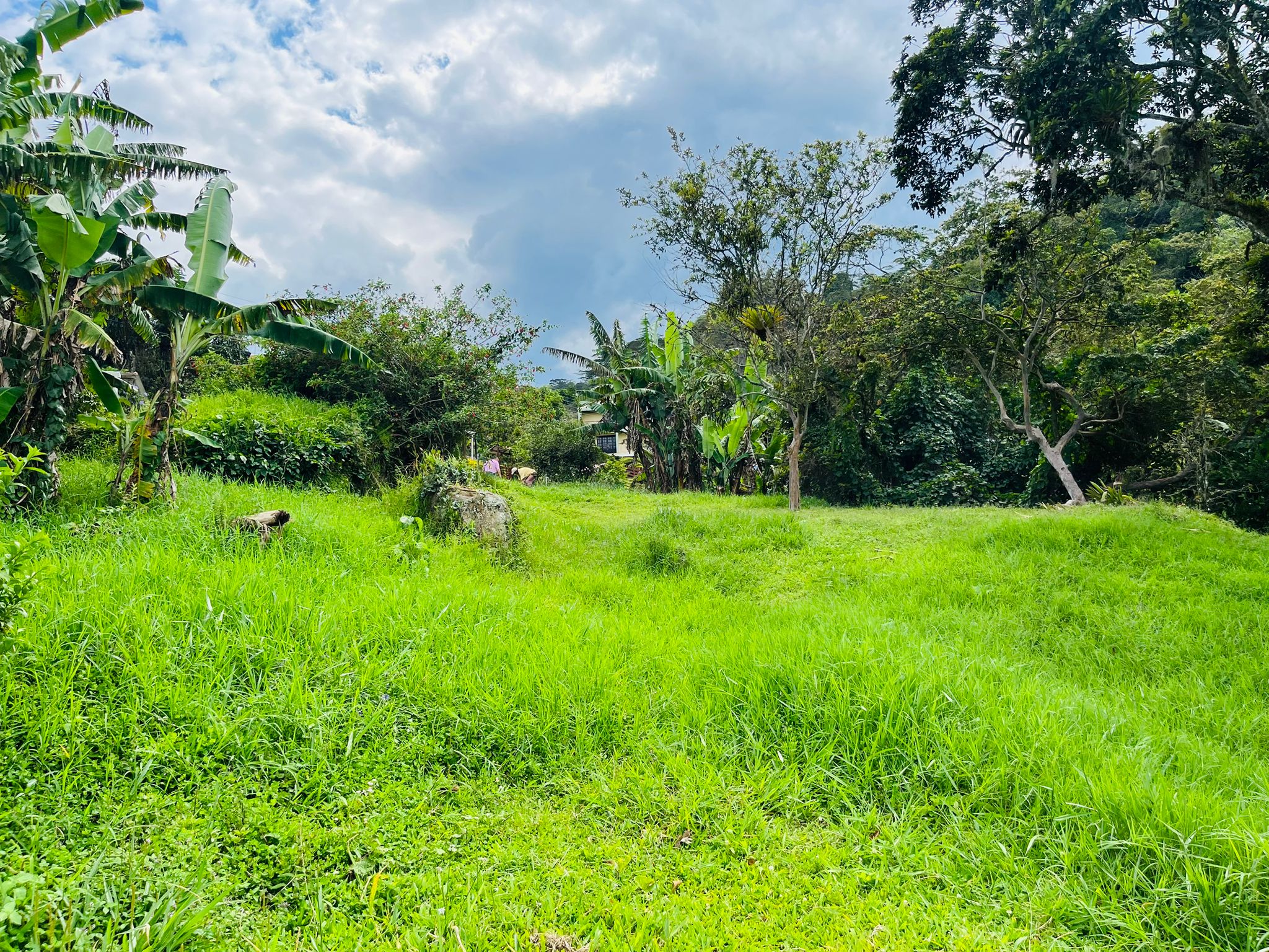 EXCELENTE LOTE EN VENTA