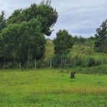 a083351b-2137-4010-80eb-92a08adde500