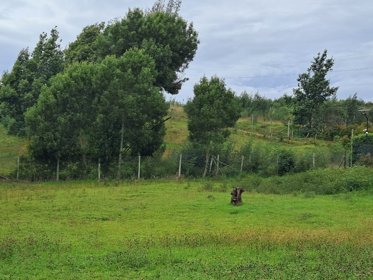 a083351b-2137-4010-80eb-92a08adde500