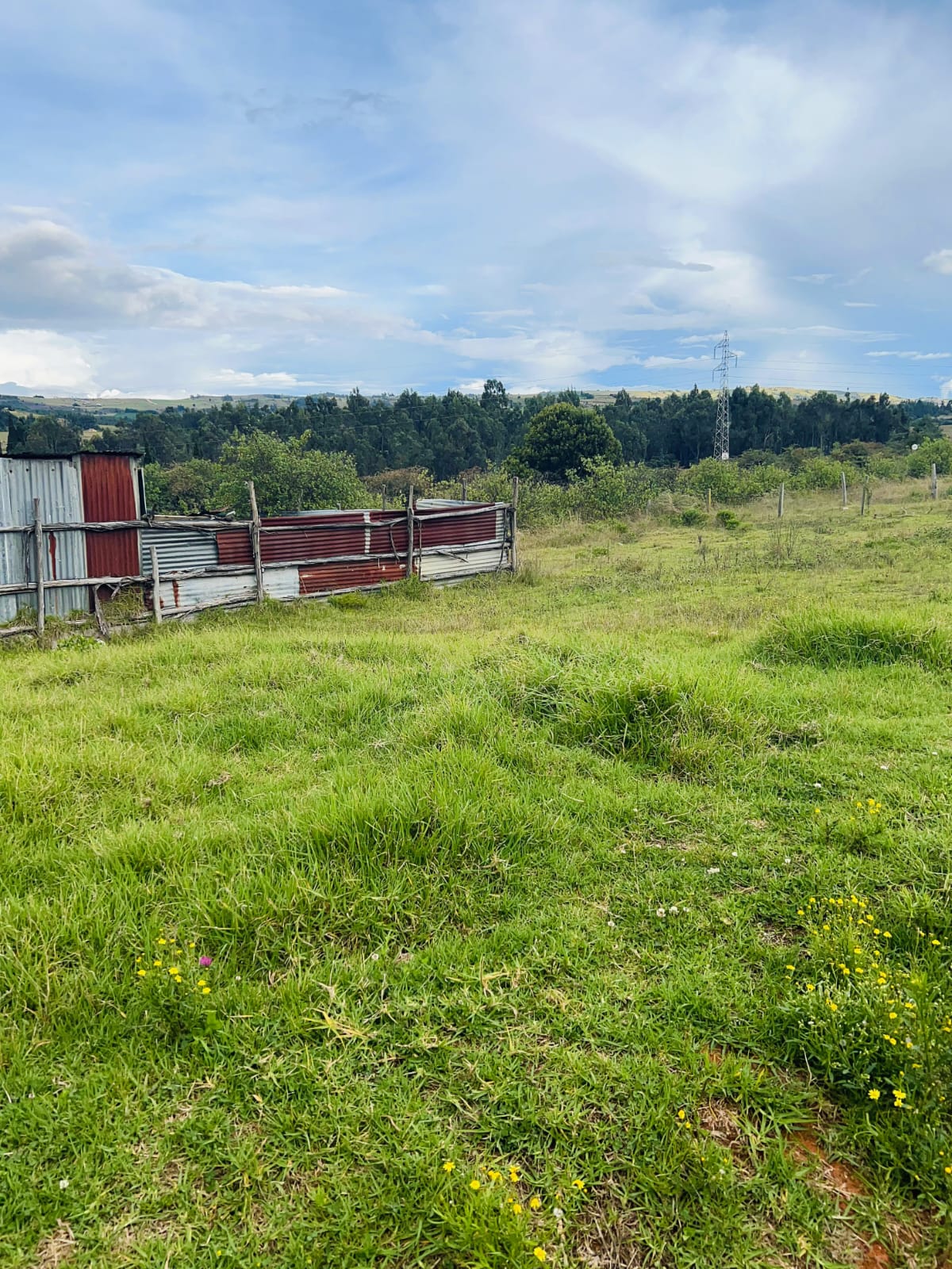 a1d5e763-889e-4a9d-b633-eea94dd67535