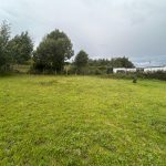 d66b210e-1778-4baf-a940-e8ea941be56e