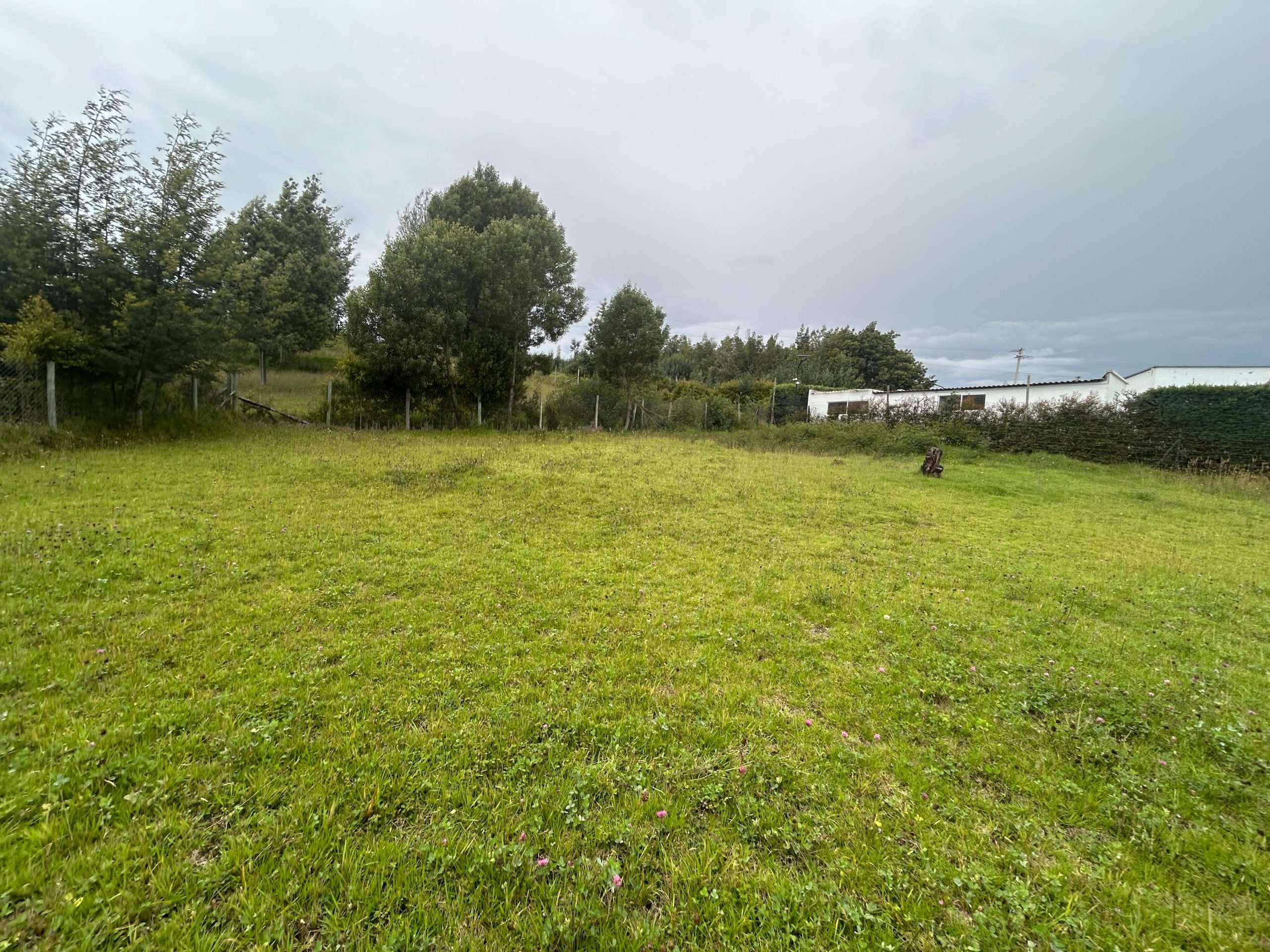 d66b210e-1778-4baf-a940-e8ea941be56e