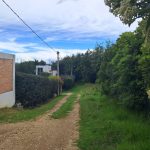 db7f93f8-6fbe-4b8d-aec0-efec152fdfba