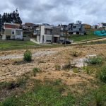 e5af6a81-55bd-4ebd-b6e3-39ed3026f564