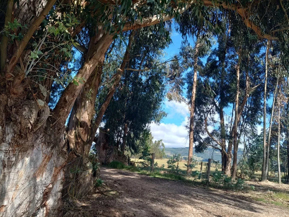 EXCELENTE  LOTE EN VENTA