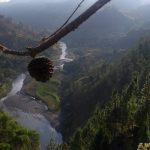 IMG_20181223_073600658