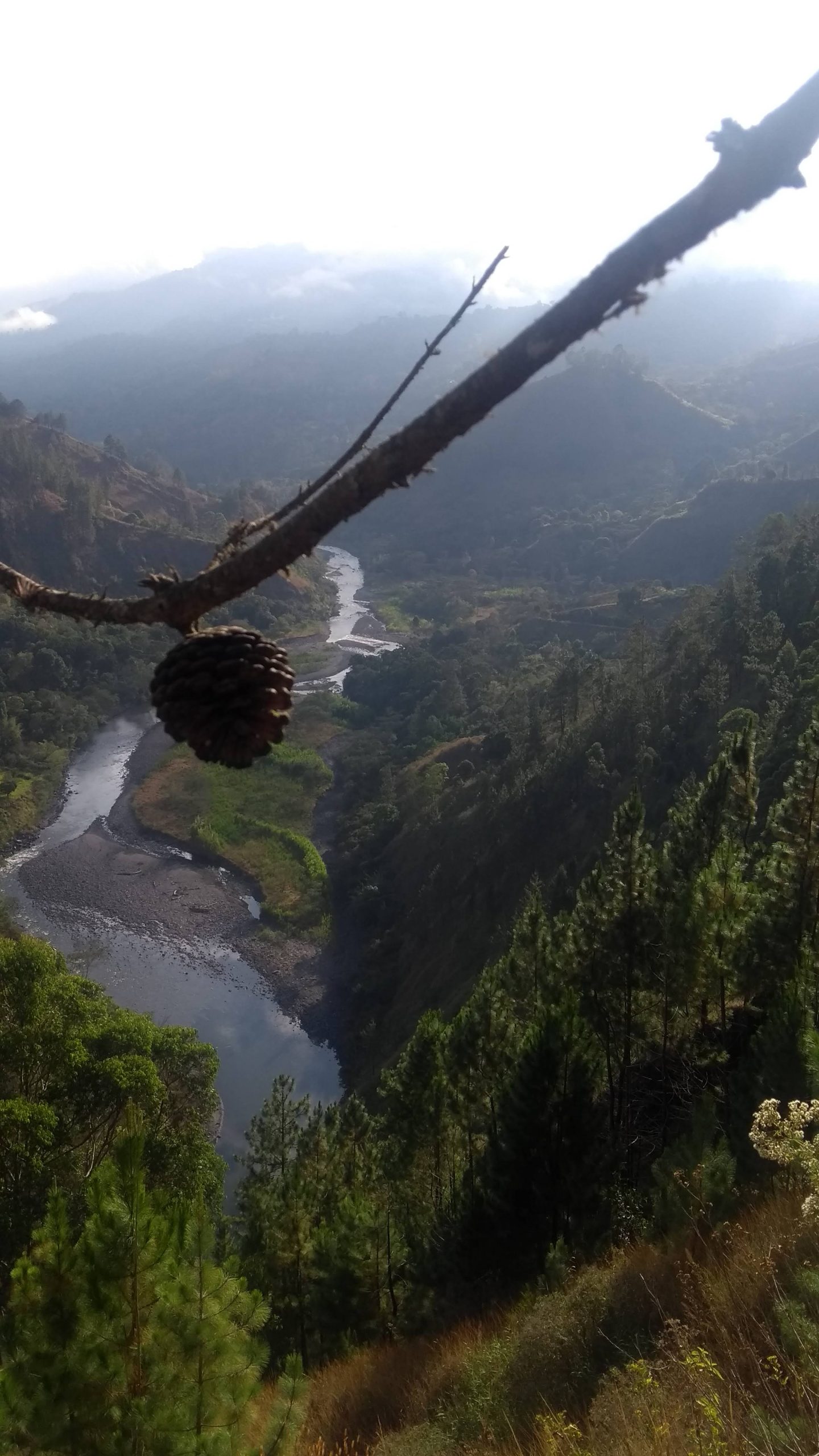 IMG_20181223_073600658