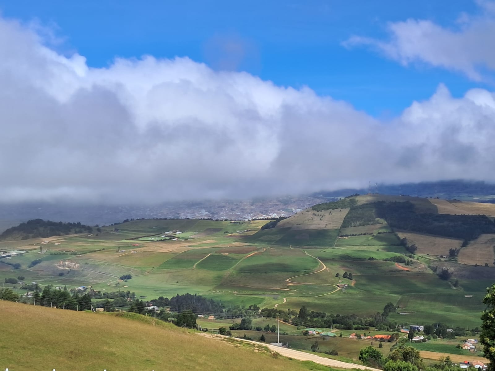 0c1b00de-fcf9-4e52-a6ff-12643dffae0e