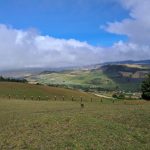 1ad1ac0d-e0d5-4c0f-9b98-52cb09cd52dd