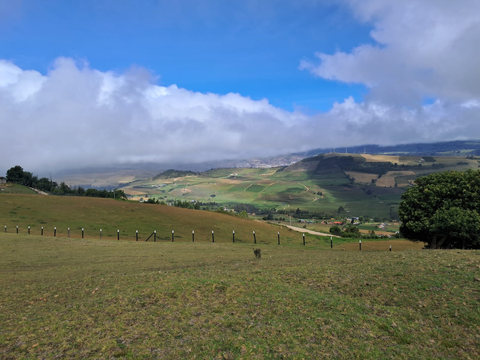 1ad1ac0d-e0d5-4c0f-9b98-52cb09cd52dd