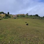 33baf775-0d0e-45f0-a1a4-dd7c11bf2cdf