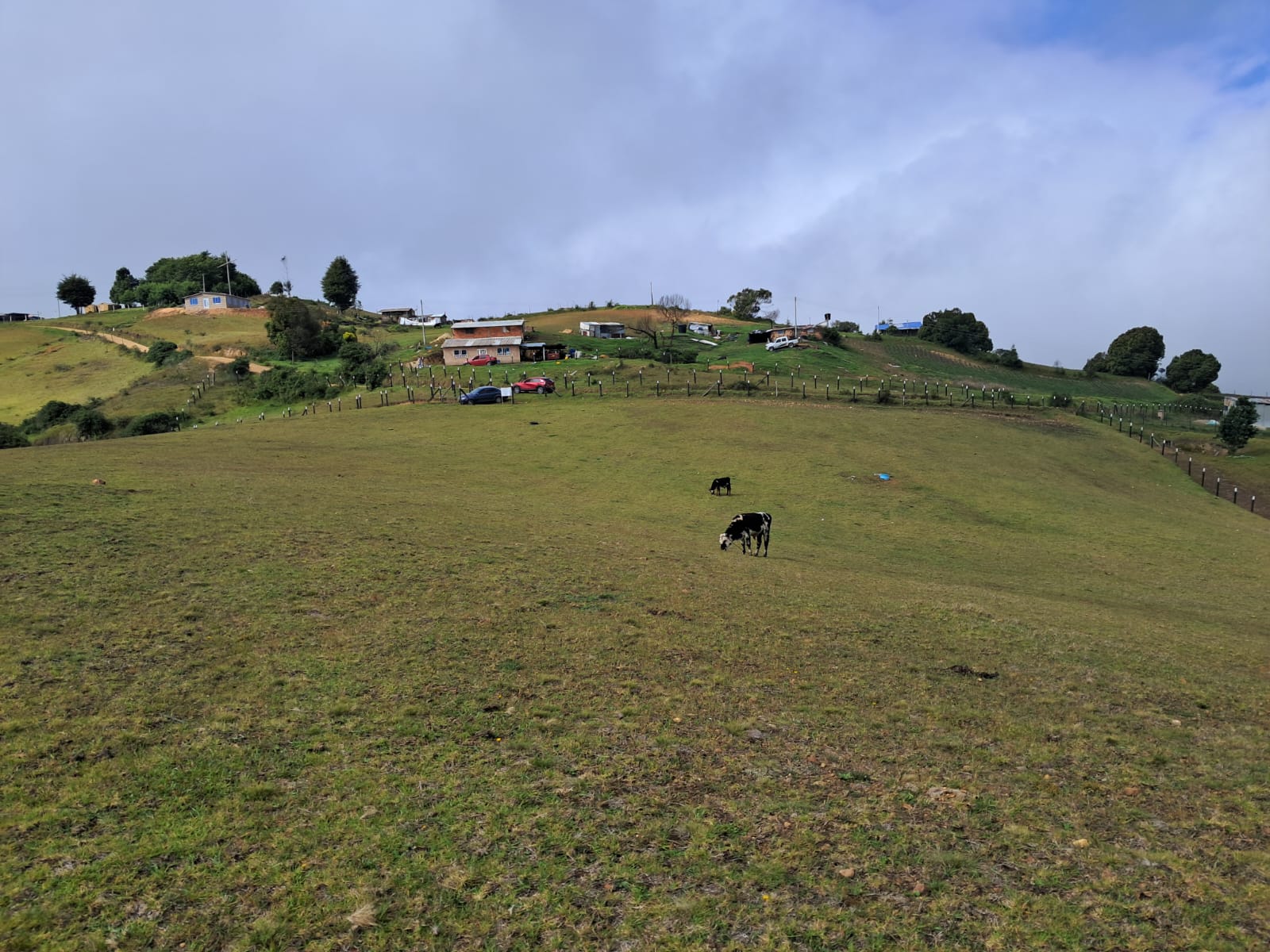 33baf775-0d0e-45f0-a1a4-dd7c11bf2cdf