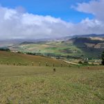 3f849fe3-0d8b-4a50-be35-5e4d6ac39895