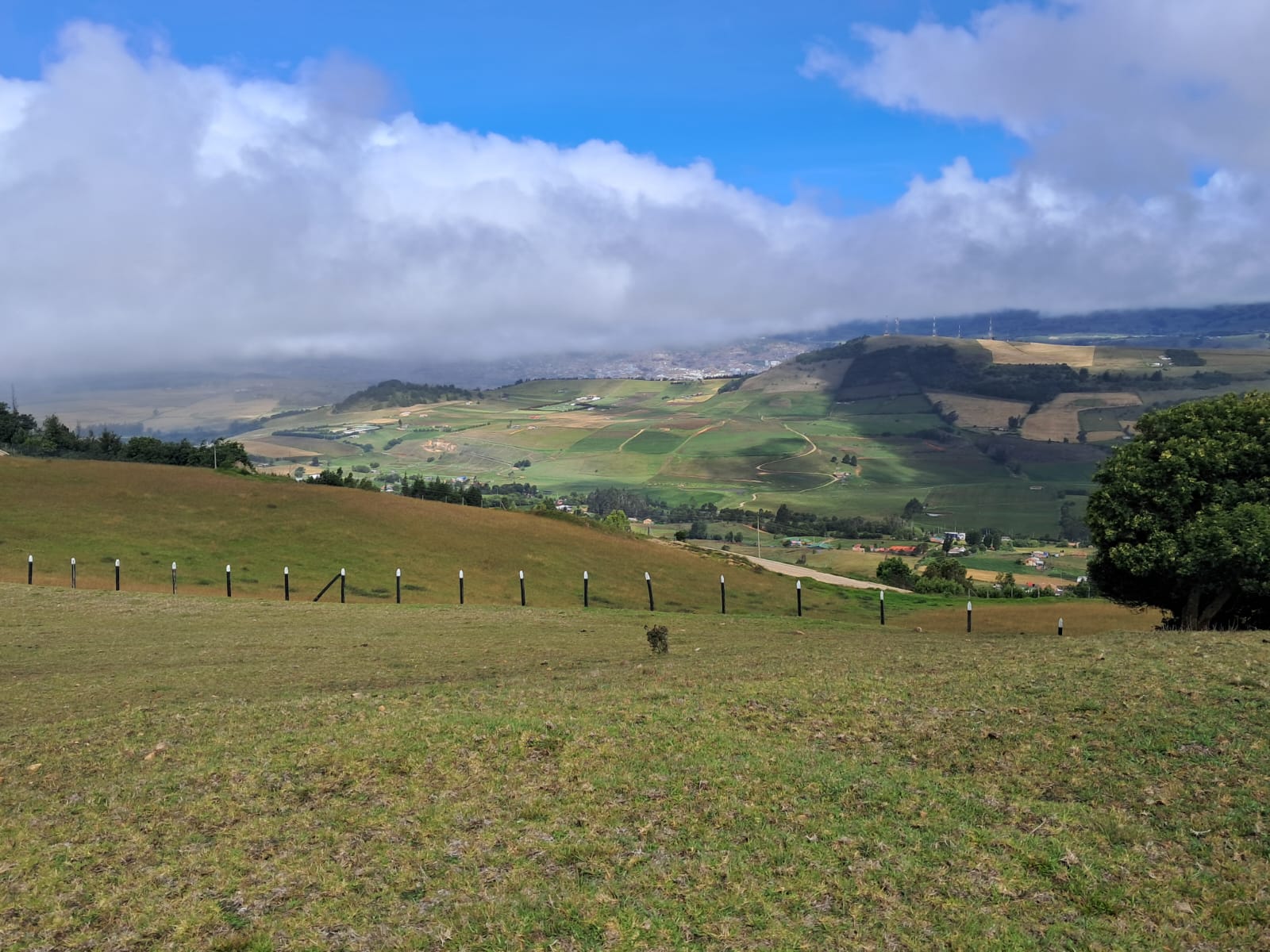 3f849fe3-0d8b-4a50-be35-5e4d6ac39895