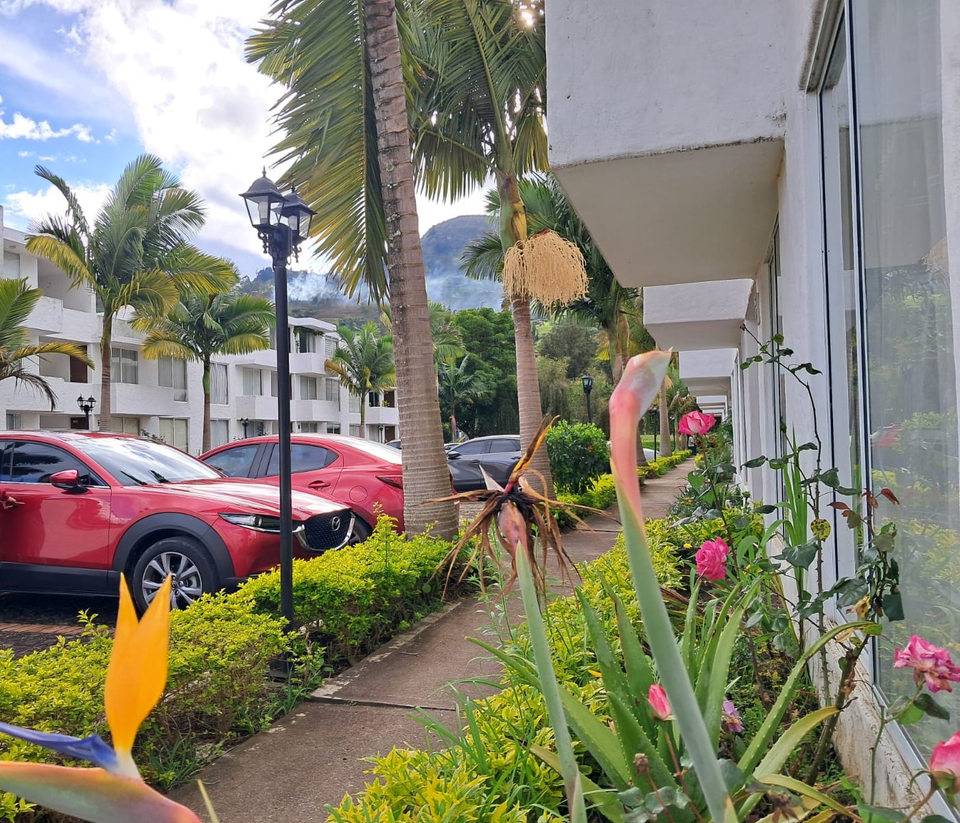 8571c932-8bed-4666-a8bf-ce29bd7adf27