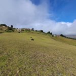 8a1eb77e-492c-487c-b46d-36a74f3e4753