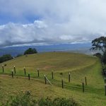 8ca06d33-9554-4757-bdc2-7a6db4c9beaa