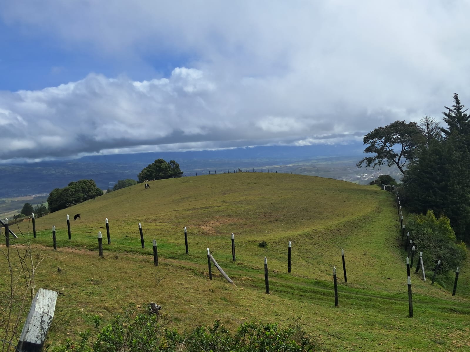 8ca06d33-9554-4757-bdc2-7a6db4c9beaa