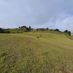 d9d758cf-fe1b-46ea-8873-a68d87e48fb5