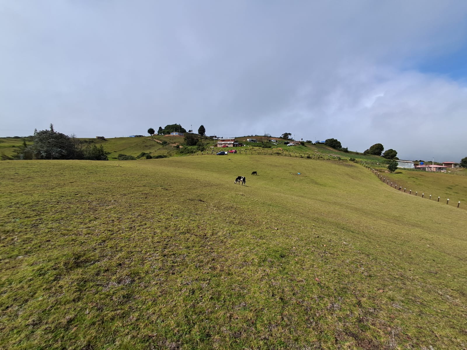 d9d758cf-fe1b-46ea-8873-a68d87e48fb5