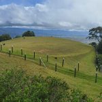 e4367649-e3c4-4193-ba19-8996498aec7f