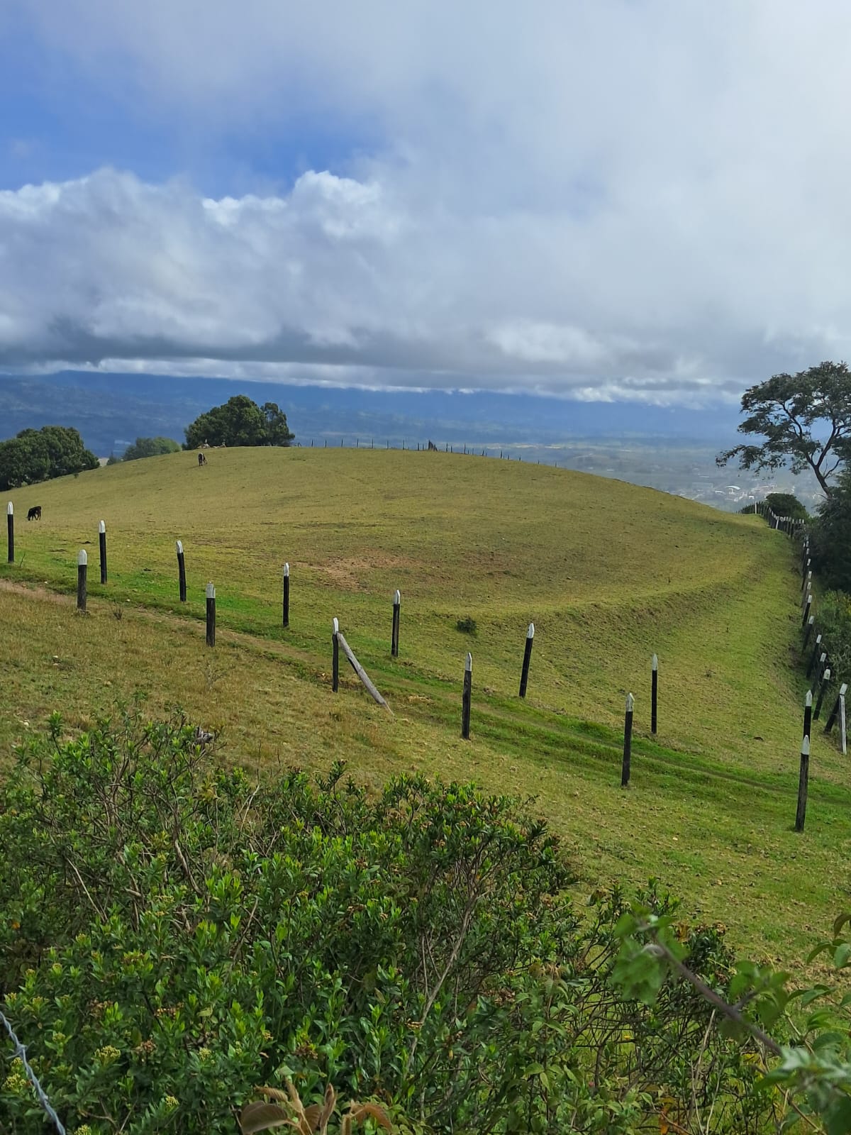 e4367649-e3c4-4193-ba19-8996498aec7f