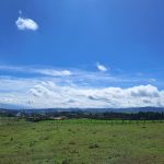 14df4c1c-5573-4e3d-81ba-819d889bf1fa