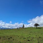 1d10082f-2034-4132-a32f-4bb16b871203